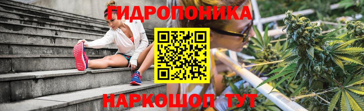 Бошки Шишки White Widow  Бошки Шишки OG Kush  Конопля Amnesia  Гусиноозёрск  Вход с VPN 